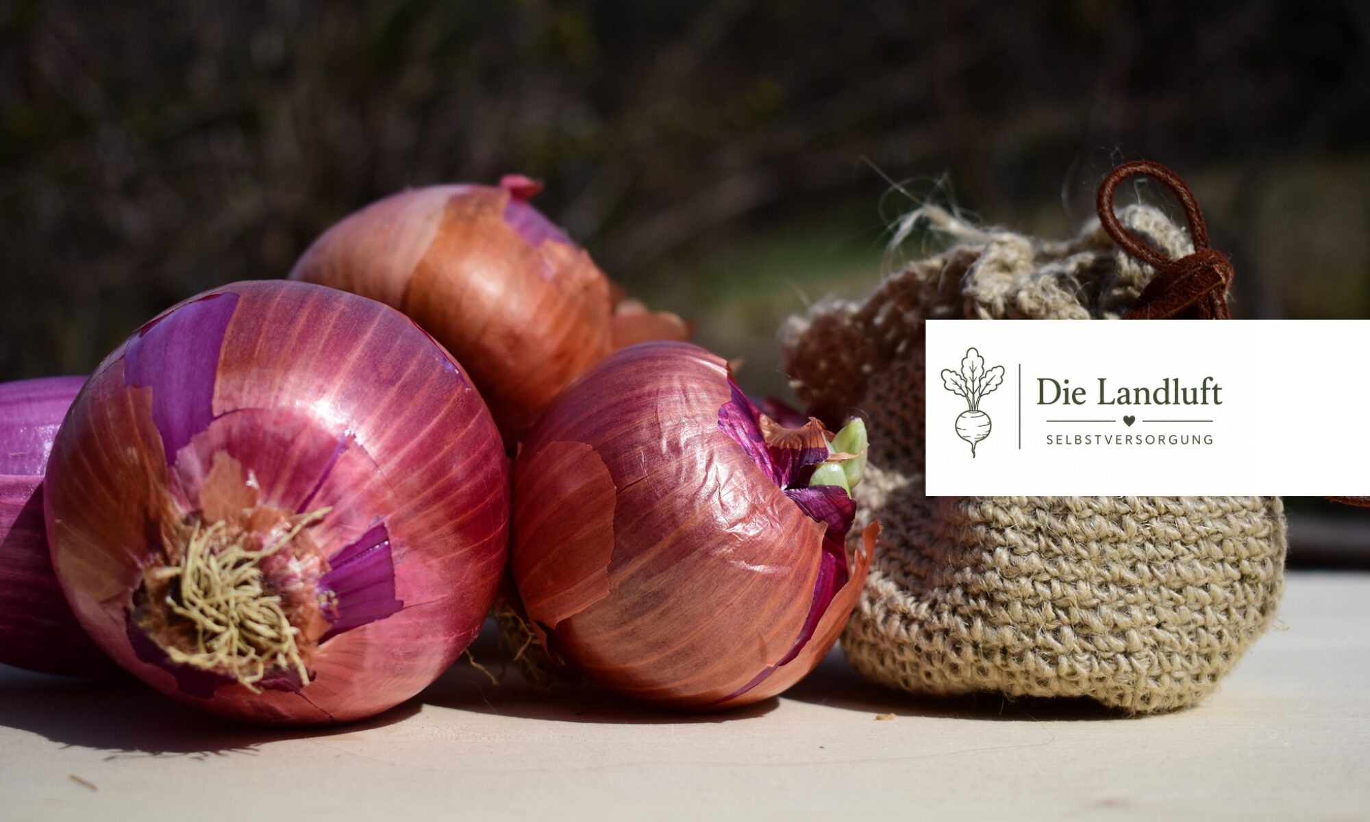 gartenbuch teebuch wolle färben selbstversorgung